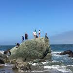 Excursion to the Pacific Ocean at Lands End in San Francisco
